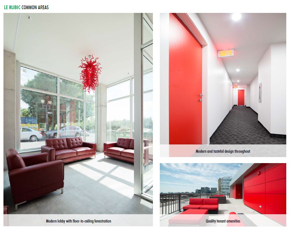 Appartement 2 Chambres de luxe a louer à Montréal (Centre-Ville) a Le Rubic - Photo 03 - PagesDesLocataires – L198458