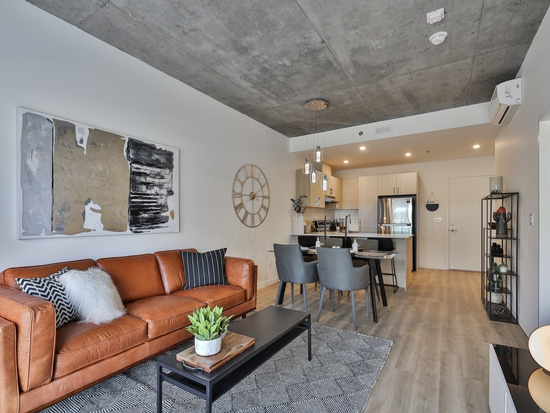 Appartement 1 Chambre a louer à Laval a Milo - Photo 07 - PagesDesLocataires – L405438